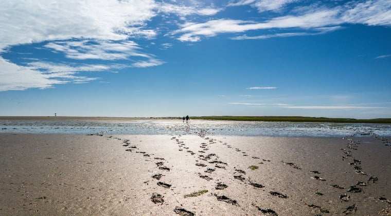 Wattenmeer mit Fussabdrücken blauer Himmel