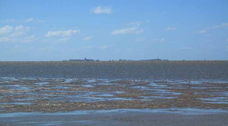 Wattenmeer Insel Neuwerk Nordsee
