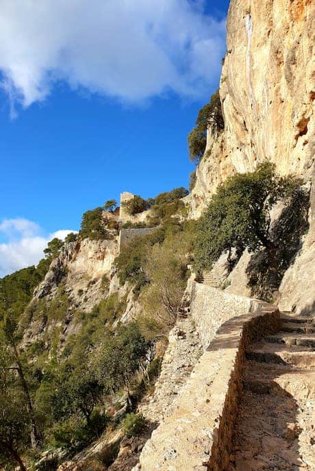 Aufstieg zum Castell d`Alaro Mallorca