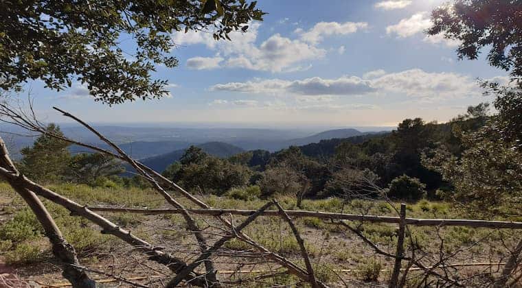 Mallorca Wandern zum Castell d´Alaro