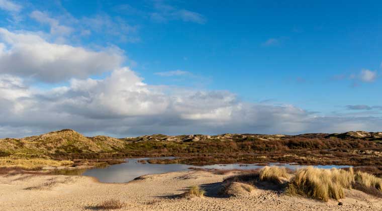 Blick auf die Dünen in Bergen aan Zee