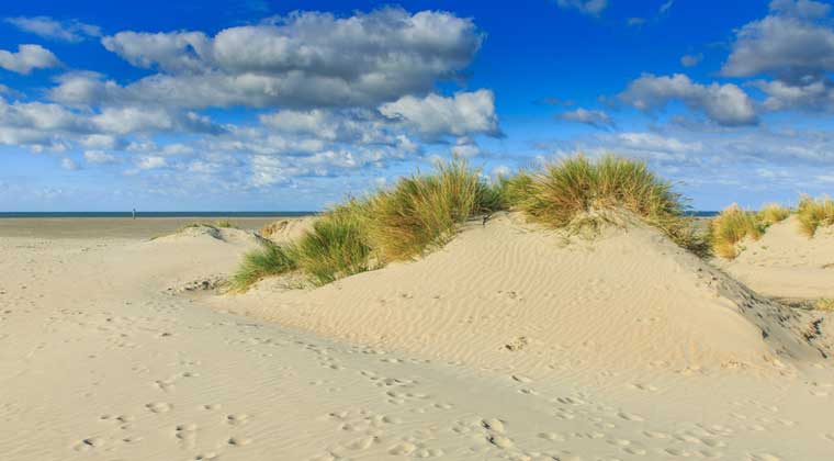 Strand bei IJmuiden