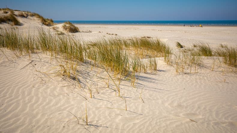 Holland Strand: Schiermonnikoog