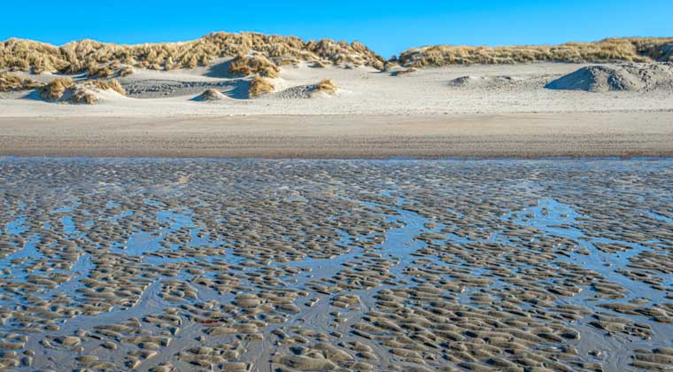 Strand auf Schouwen Duiveland