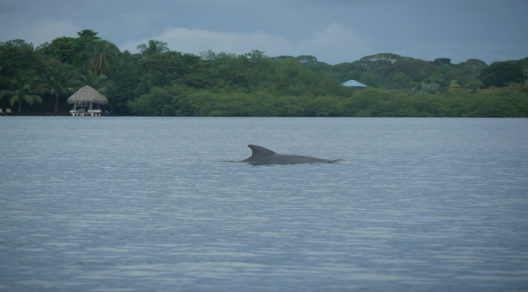 Panama Sehenswürdigkeiten