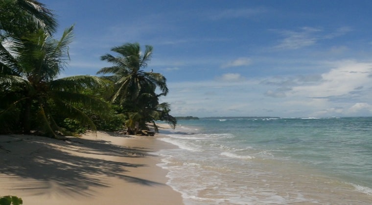 Panama Strand mit Palmen