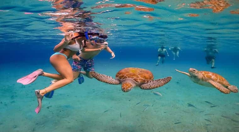 Tauchen mit Meeresschildkröten auf Klein Curacao