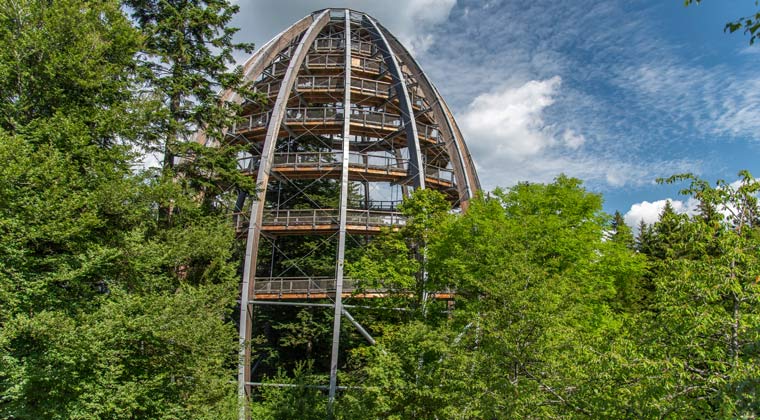 Baumturm in Bayern