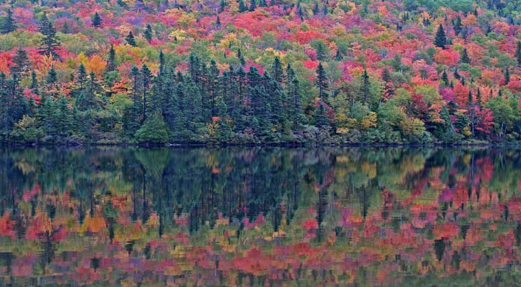 Indian Summer in Algonquin Provincial Park