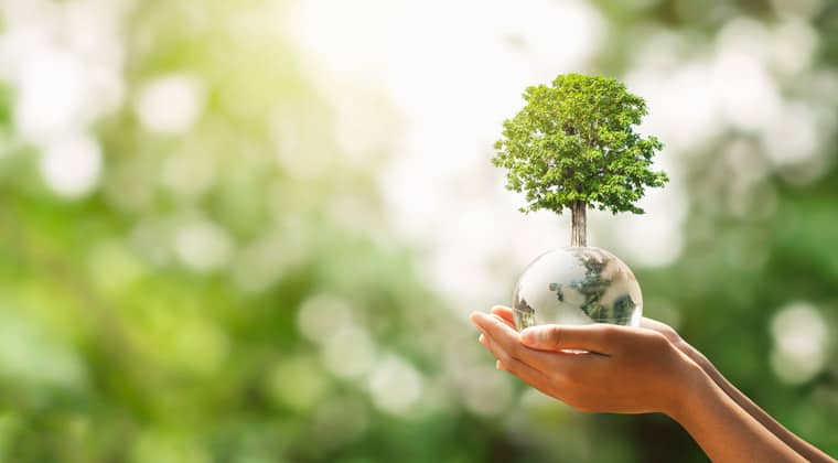 Nachhaltigkeit Hand Baum Erdkugel