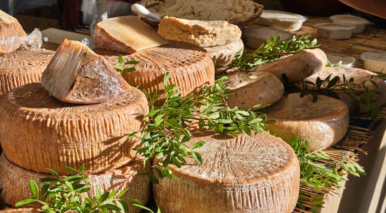 Casu marzu traditioneller sardinischer Käse