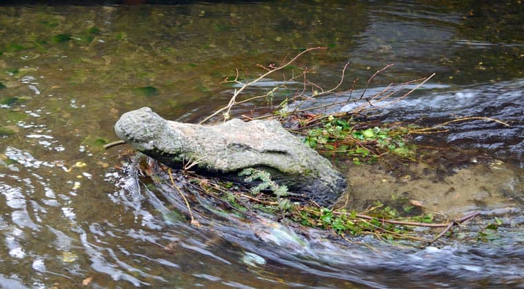 Beliebtes Fotomotiv - das steinerne Krokodil