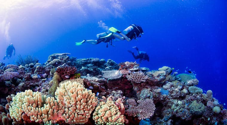 Fiji Tauchen am Korallenriff