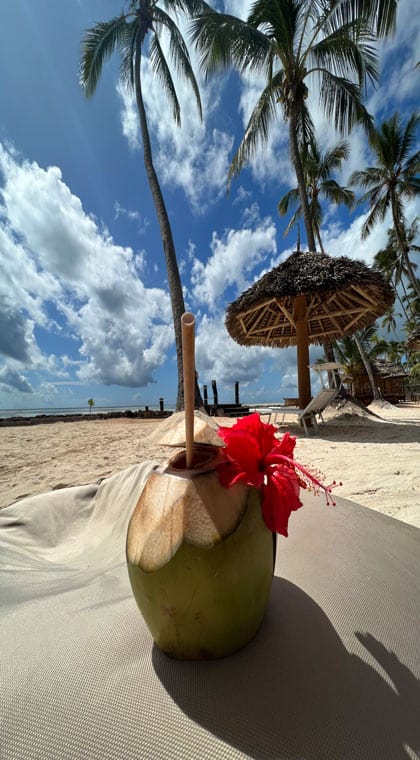 Kokosnuss am Strand