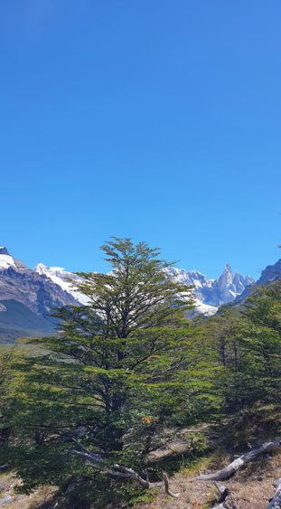 Argentinien Patagonien Wanderroute El Chalten