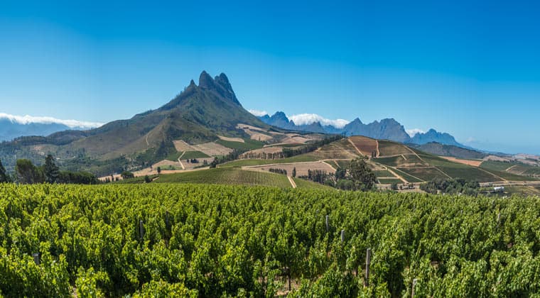 Südafrikas Weinanbauregion, die Cape Winelands. Wunderschöne Natur.