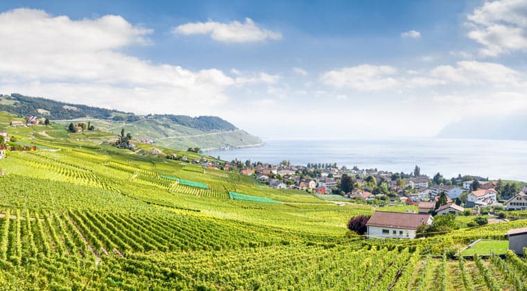 Das größte Weinanbaugebiet der Schweiz: Lavaux am Genfer See, das