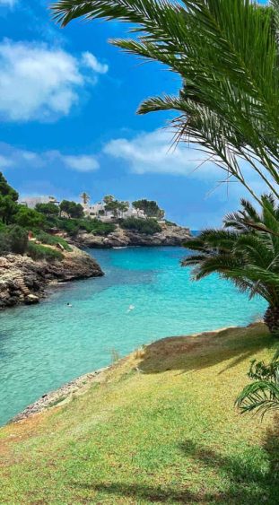 AluaSoul Mallorca Resort Bucht