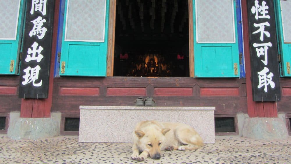Im Mudeungsan-Nationalpark ticken die Uhren ein Stückchen langsamer.