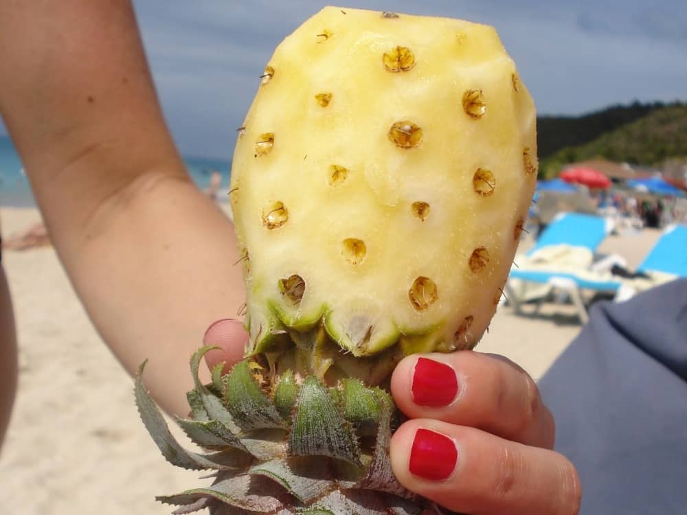Stilecht: Ananas am Stiel in Antigua