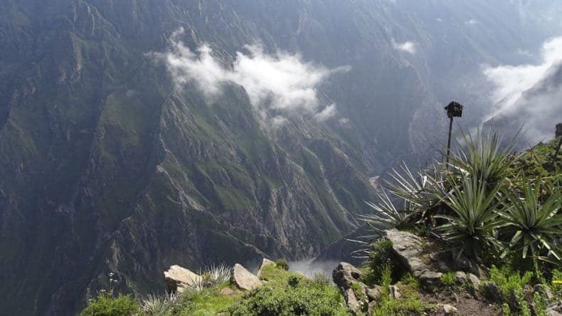 Peru, Colca Canyon
