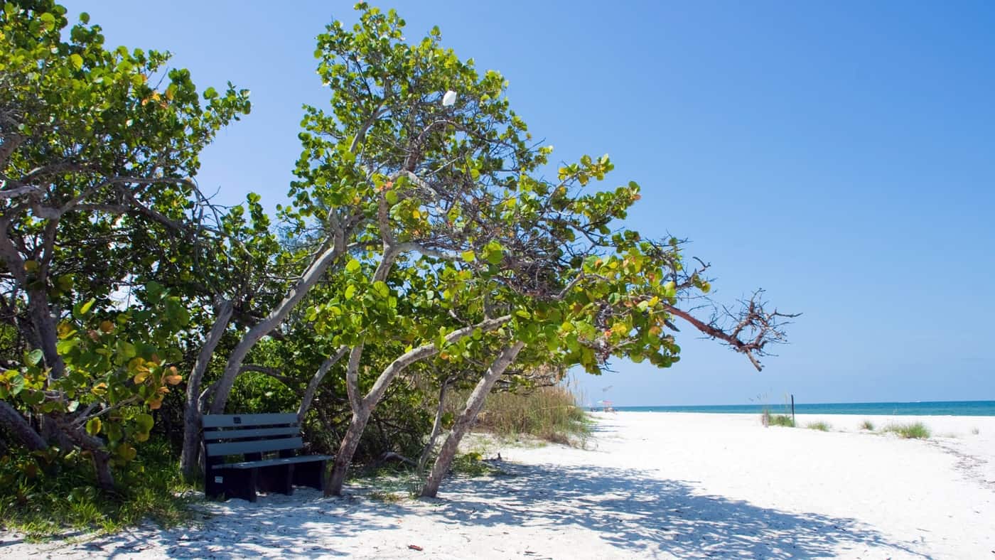 Unberührte Natur im Delnor-Wiggins Pass State Park