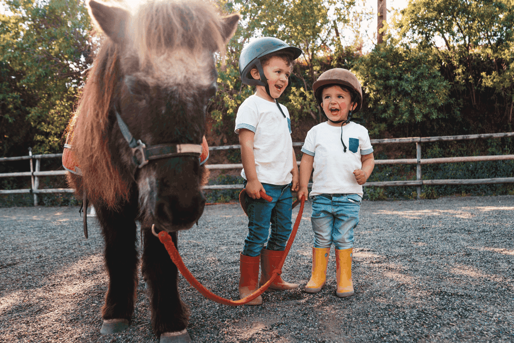 Die West Virginia City Ranch bietet dir und den Kids Cowboy-Feeling in familiärer Atmosphäre