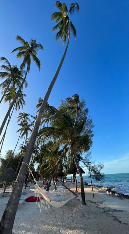 Hängematte im TUI BLUE Bahari Zanzibar
