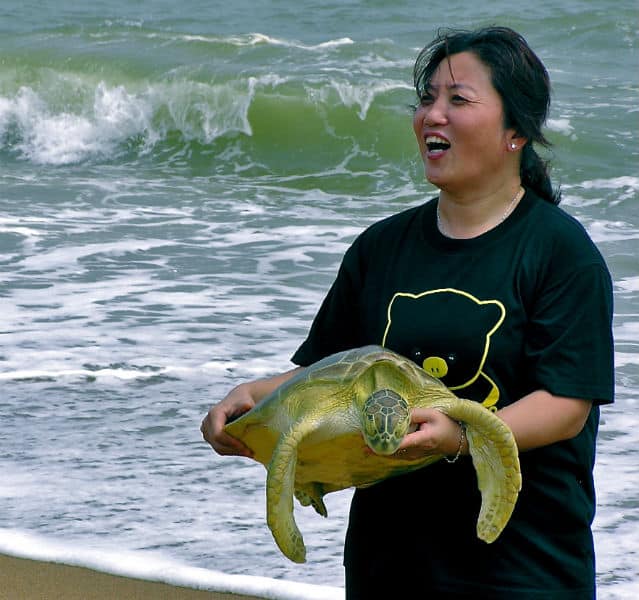 Ganz schön die Wasserschildkröte, die diese Chinesin im Meer aufgegabelt hat. Aber bitte zurück damit in die Fluten!