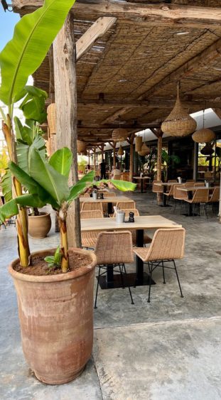 Hotel Cook‘s Club Palma Beach Mallorca Ausstattung