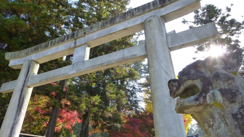 Der weitläufige Park um den Todai-ji Tempel lädt zum stundenlangen Schlendern und Entdecken ein.