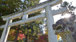 Der weitläufige Park um den Todai-ji Tempel lädt zum stundenlangen Schlendern und Entdecken ein.