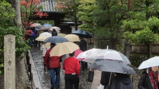Trotz des schlechten Wetters in Kyoto schieben sich die zahlreichen Touristen durch die Stadt - hier gerade auf dem Weg zum Ginkaku-Ji Tempel.