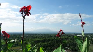 Blick auf den Mount Merapi