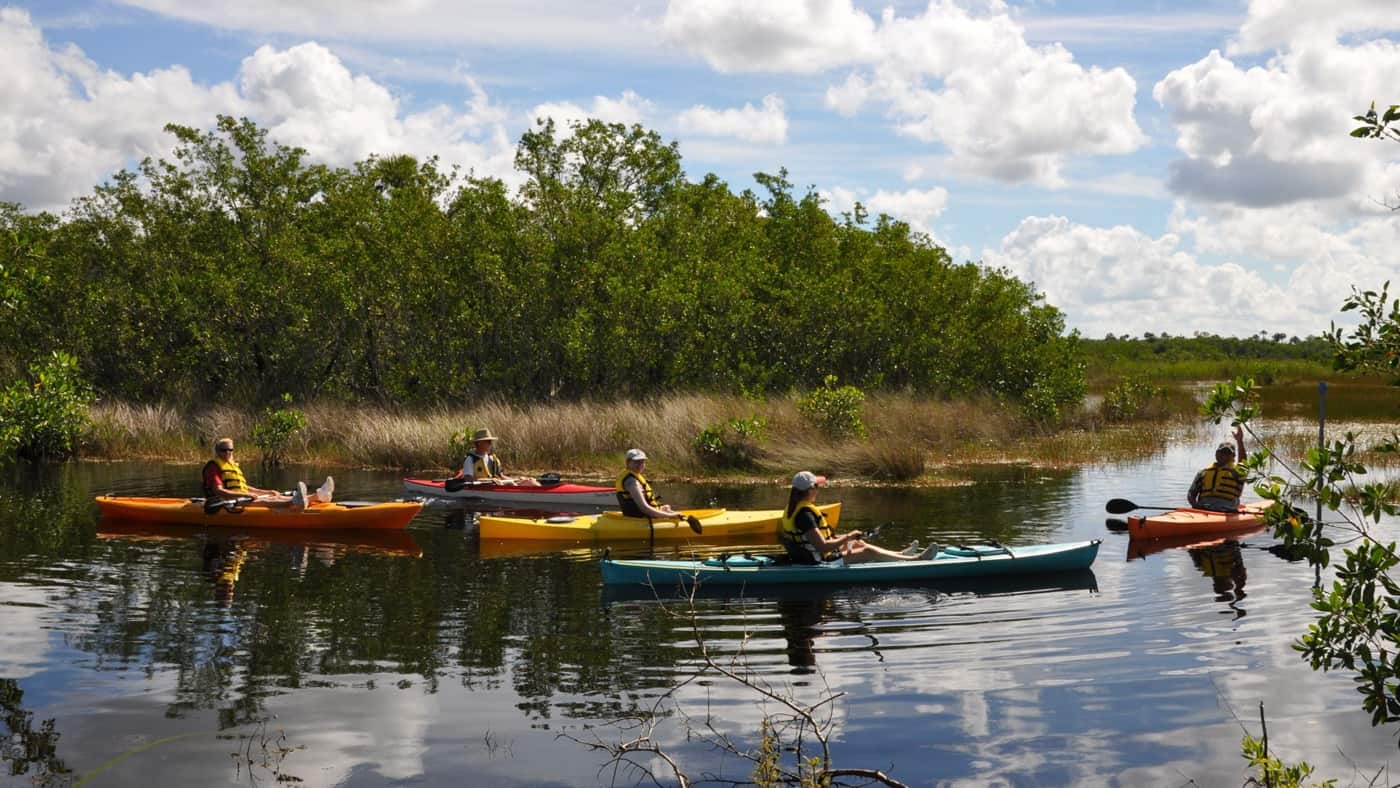 Kajaken in den Ten Thousand Islands