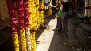 Diese Blumenketten werden oft von Elefanten bei religiösen Paraden getragen.