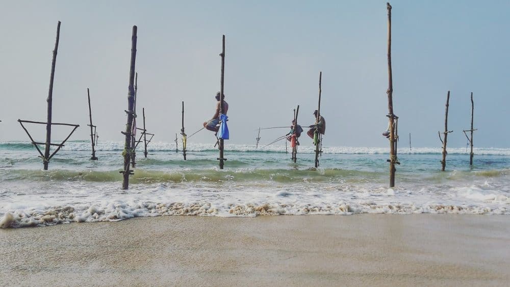 Stick-Fisherman am Sri Lanka Strand Unawatuna, Männer, die auf Holzpfählen über dem Wasser sitzen und angeln, heller Sandstrand, grünliches Meer