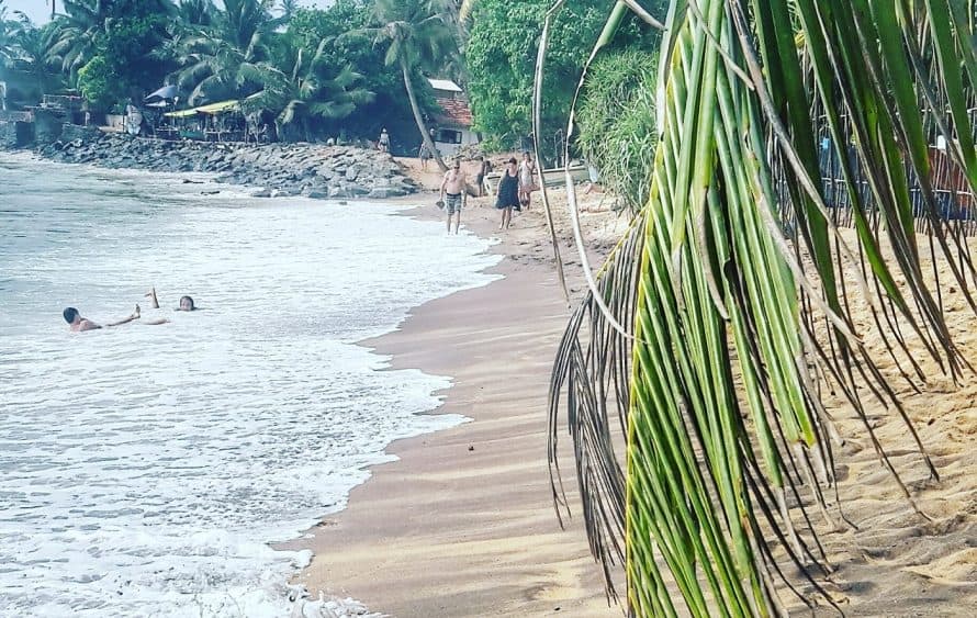 Mirissa Beach in Sri Lanka, brauner Sand, weißer Meeressaum, grüne Palmen, Menschen am Strand und im Wasser