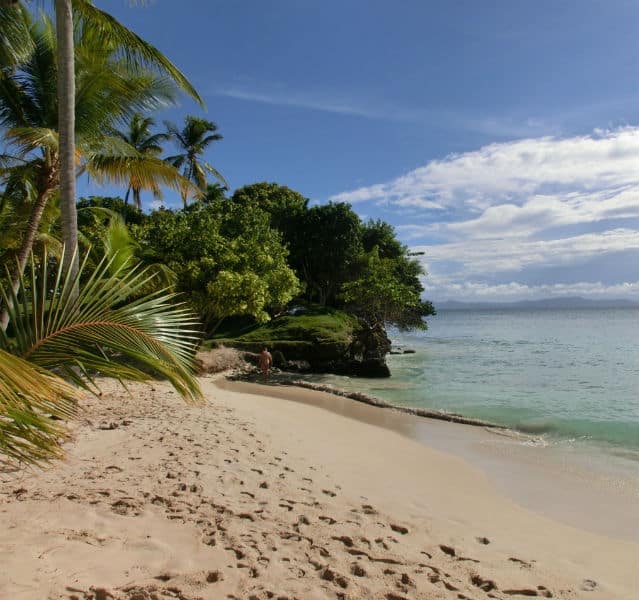 Strand mit Palmen und einem Menschen im Hintergrund