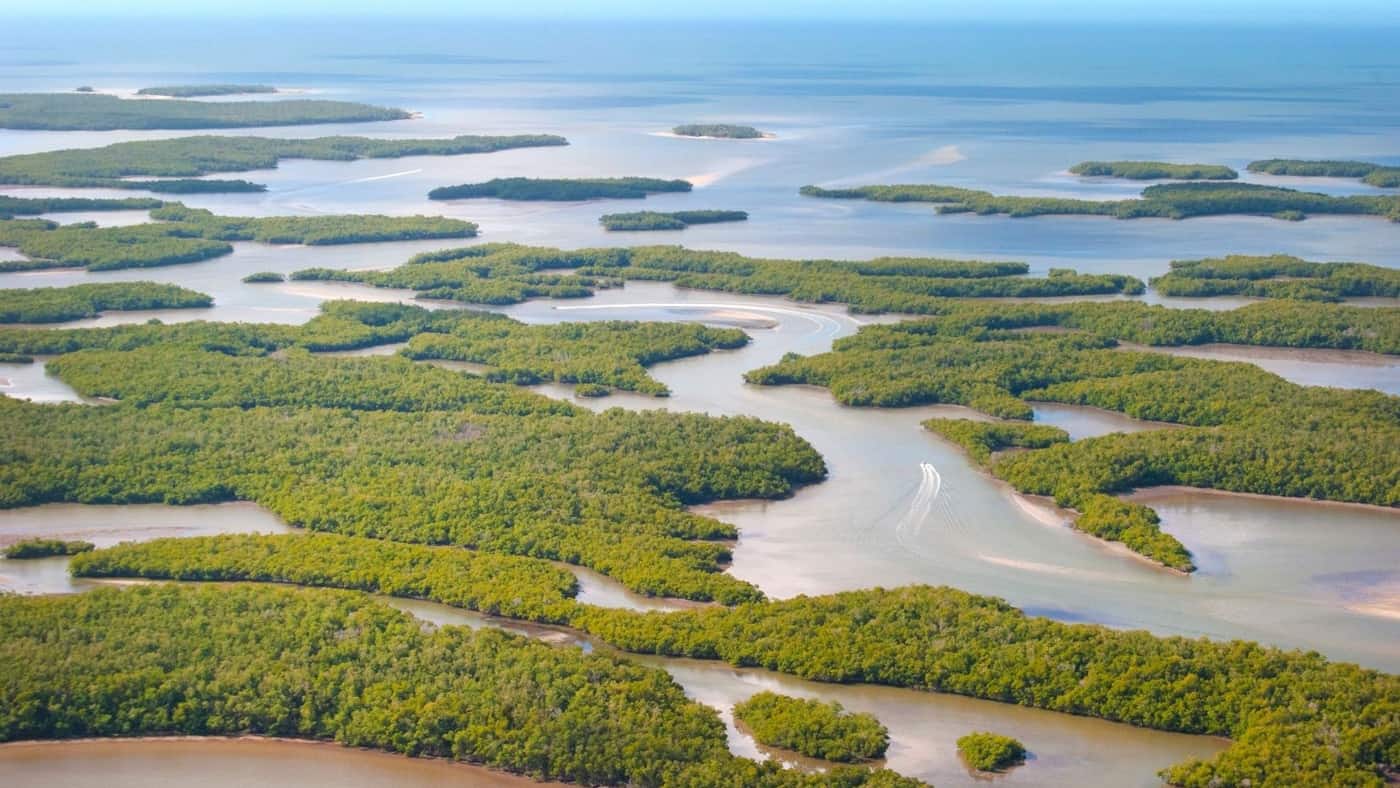 Blick von oben auf die Ten Thousand Islands
