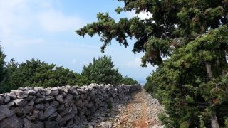 Über Stock und Stein in Kroatien