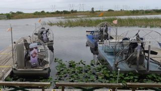 Airboats in den Everglades