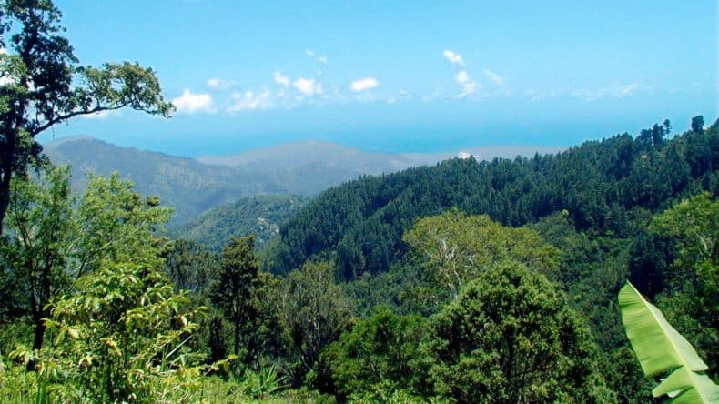 Blick über die Blue Mountains