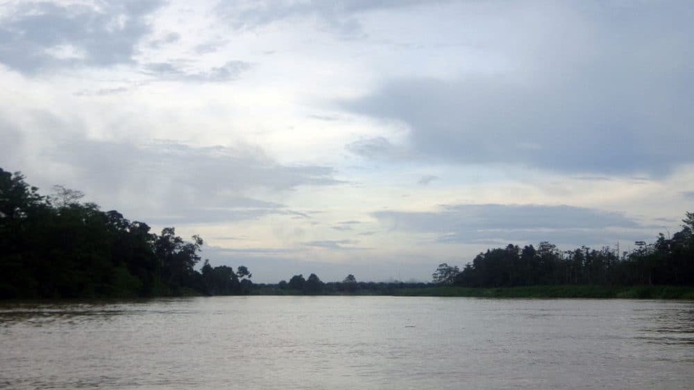 Außergewöhnliches Reiseziel: Borneo