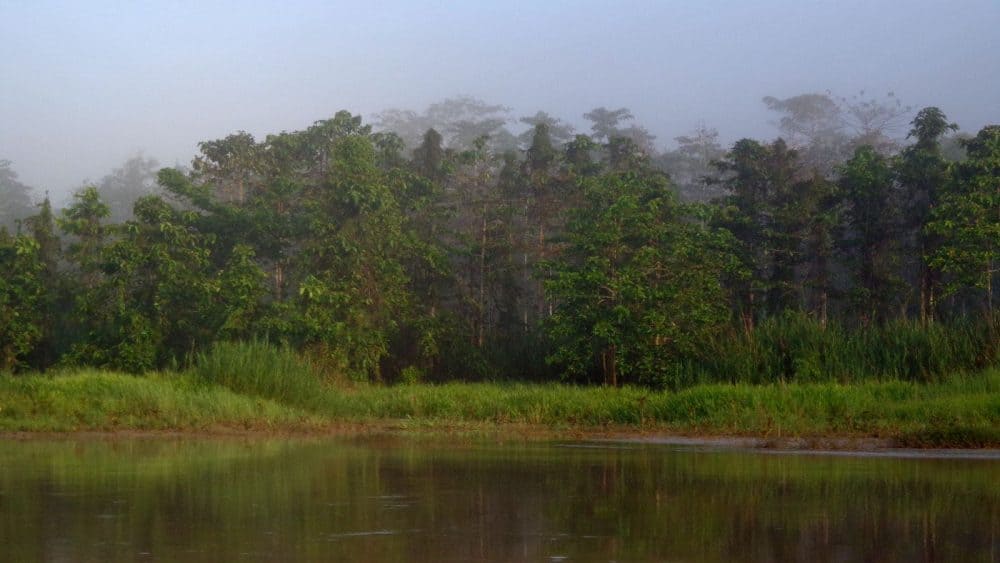 Außergewöhnliches Reiseziel: Borneo