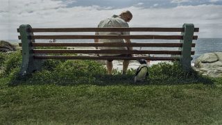 Pinguin und Mann auf einer Bank sitzend