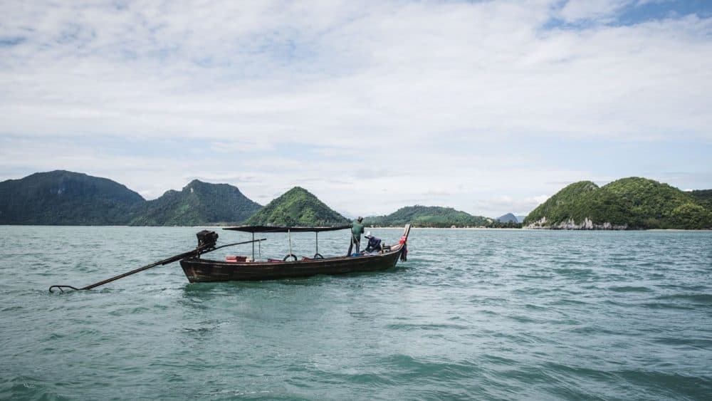 Die beeindruckende Küstenlandschaft auf einer Bootstour erleben.