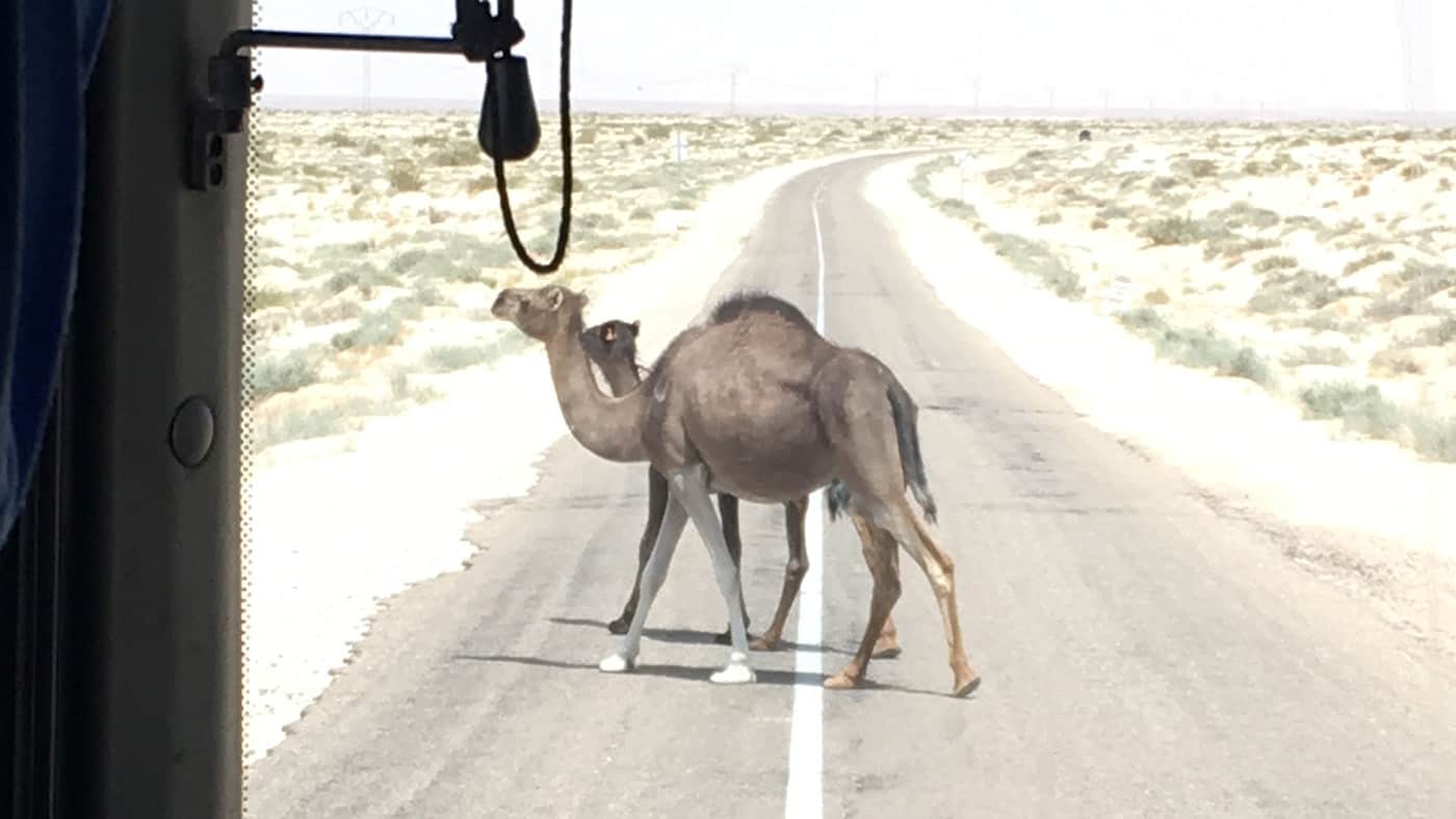 Wohin waren die wohl auf dem Weg?