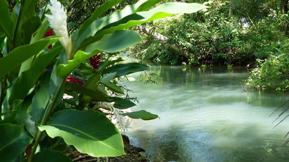 Frenchman's Cove auf Jamaika (Copyright: Jamaica Tourist Board)