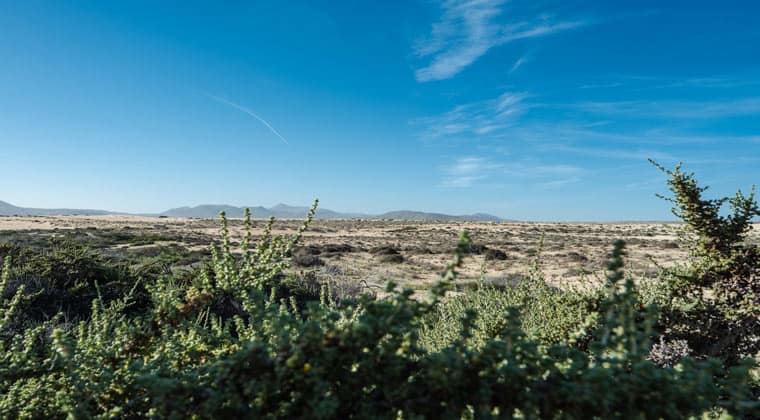 Fuerteventura, Dunas de Corralejo, bietet eine wüstenhafte Landschaft.